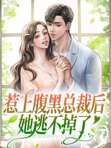 惹上腹黑坏老公