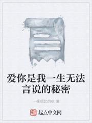 爱你是我无法言说免费阅读