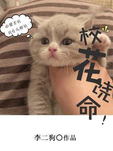 大王饶命校花是谁