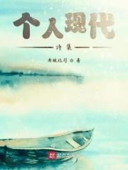 个人现代诗集目录