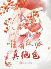 人间反派绝色爹