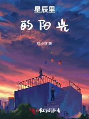 星辰里的天空txt