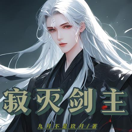 寂灭剑决攻略