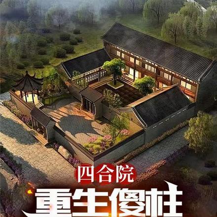 重生四合院中年傻柱