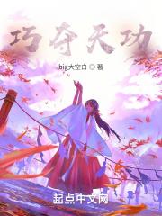 巧夺天功哪个字错了