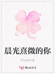 晨光熹微什么意思啊
