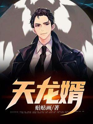 天龙医婿