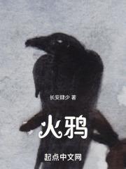 火鸦点化要多少点化丹