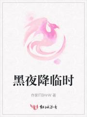 黑夜降临时黎深