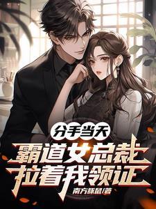 京城悍匪开局闪婚御姐女总裁(京城悍匪)