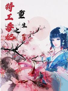重生之特工皇妃