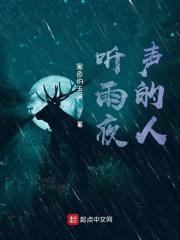 听雨的夜说说