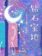 钻石宝地在线阅读