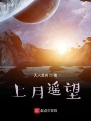 遥望天上月全诗