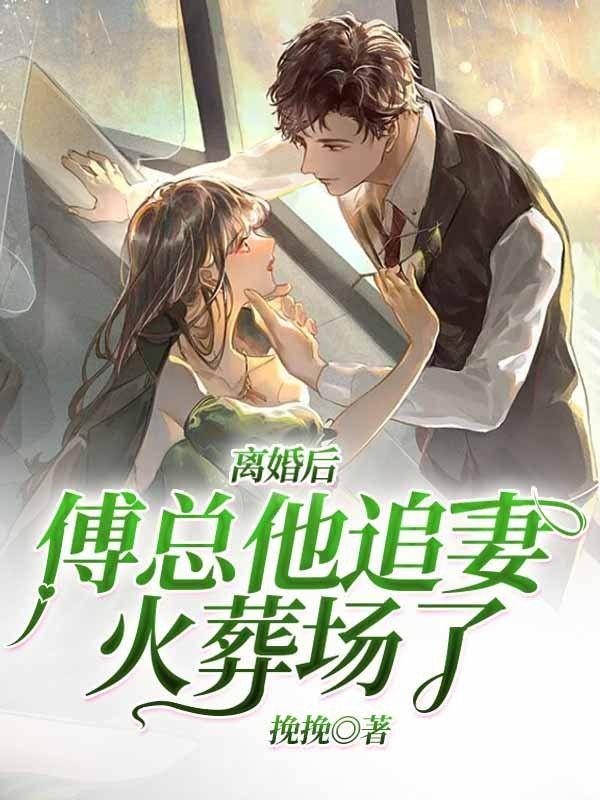 傅傅总的追妻火葬场