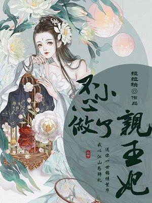 不小心成了宠妃