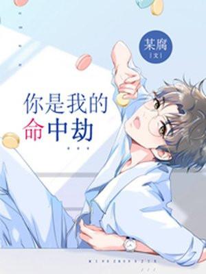 你是我命中的劫数什么意思