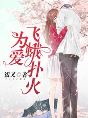 爱飞蛾扑火是什么歌