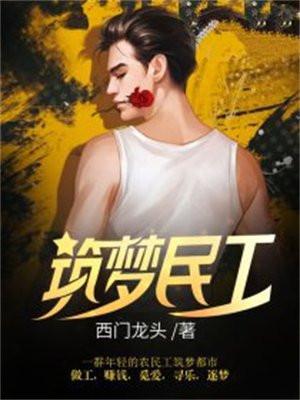 筑梦民工秘史内容简介
