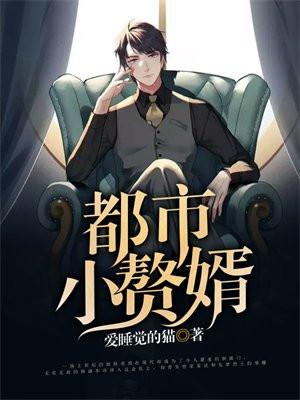 都市赘婿类型的