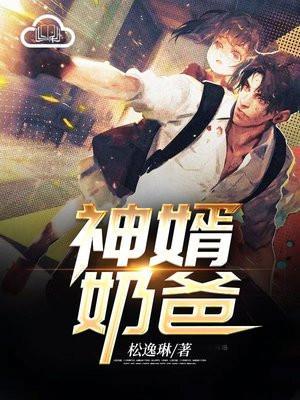 神婿奶爸txt