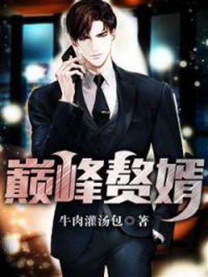 巅峰赘婿林子铭笔趣阁免费阅读