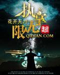 执掌无限全文阅读