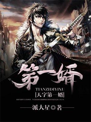 天字第一婿免费观看