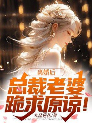 总裁的离婚妻子
