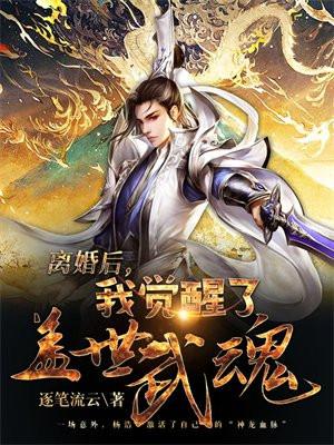 离婚后我觉醒了盖世武魂TXT 离婚后我觉醒了盖世武魂TXT