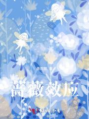 蔷薇辉