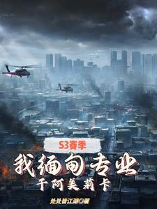 S3赛季我缅甸专业干阿美莉卡最