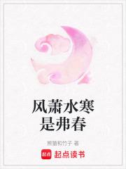 风萧水寒是弗春的意思吗