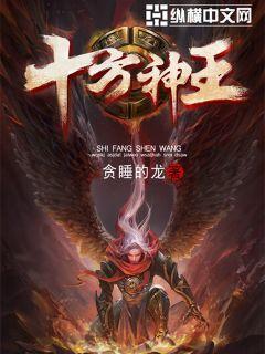 十方神王境界