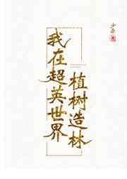 我在超英世界当巨星综英美