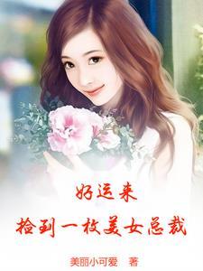 捡来的美女总裁老婆