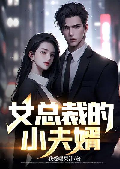 女总裁的小丈夫