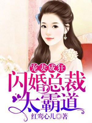 宠妻成狂闪婚总裁太霸道梨诺免费