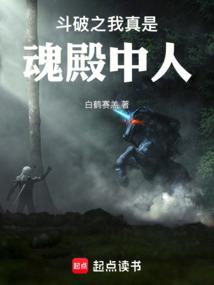 斗破之我真是魂殿中人篱笆好文学