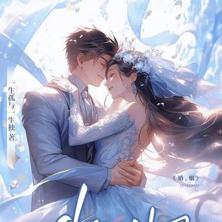 婚姻历险记 电视剧全集免费观看