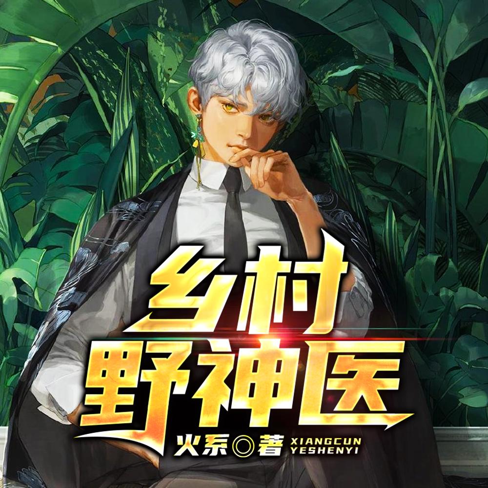 乡野神医四十章