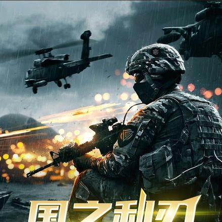 特种兵之国之利刃王云天