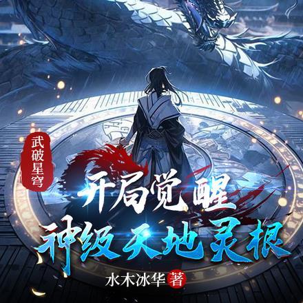 武破星空