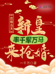 改嫁当天新皇率千军万马来抢婚