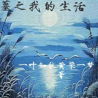 我盗墓生涯