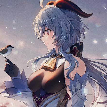原神甘雨t
