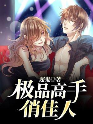 极品高手俏佳人有几部