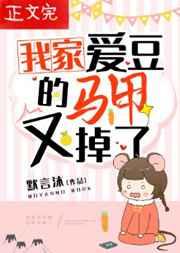 我家爱豆的马甲又掉了TXT