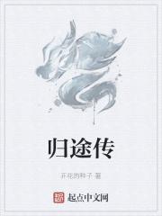 归途传情
