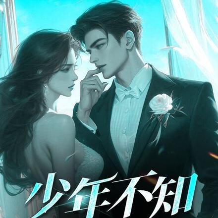 少年不知富婆好动漫